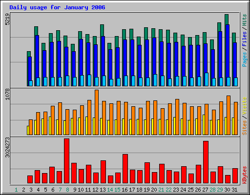 Daily usage for January 2006