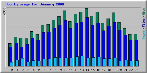 Hourly usage for January 2006